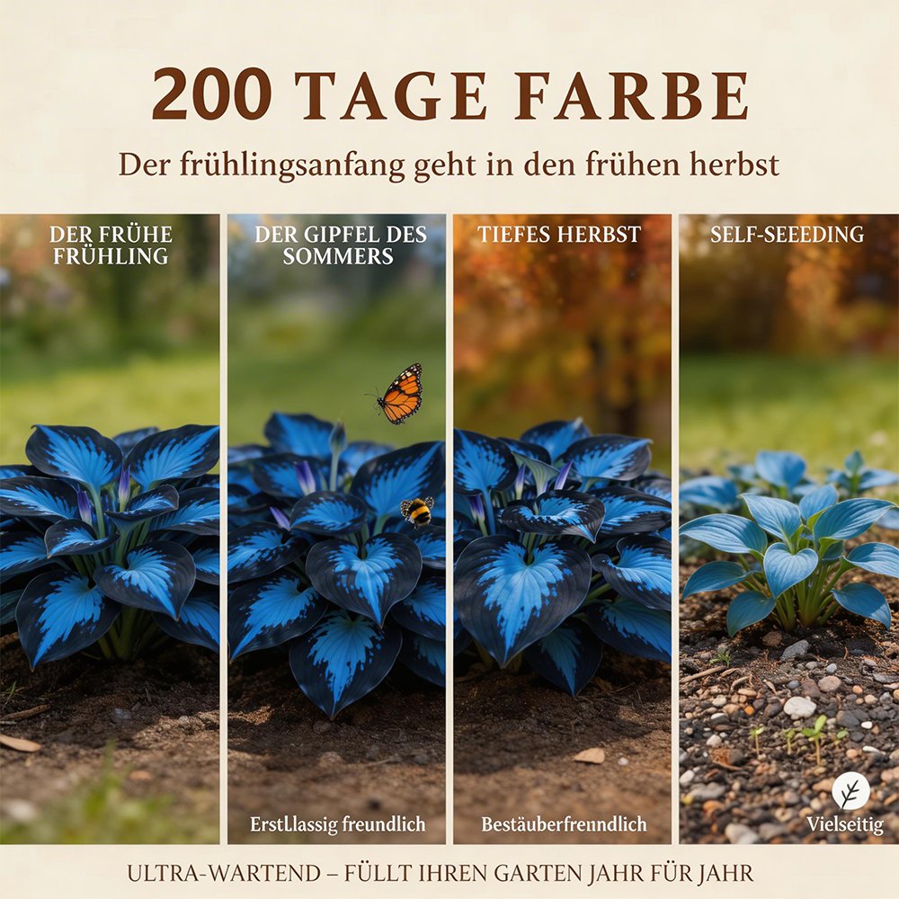 🔥Premium Rare Hosta Seeds🌿Shade-Tolerant Plant